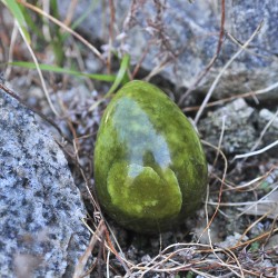 Yoni egg περίδοτο