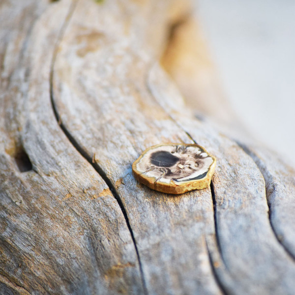 Απολιθωμένο ξύλο φέτα