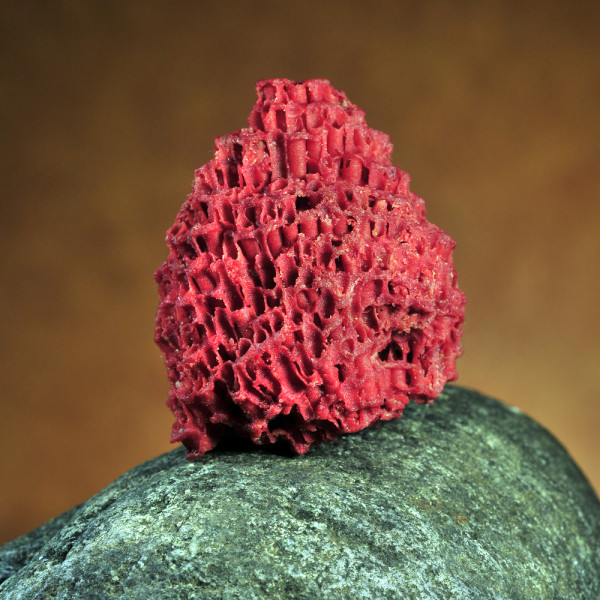  Kρύσταλλος κοράλι ρίζα ακατέργαστο μικρό