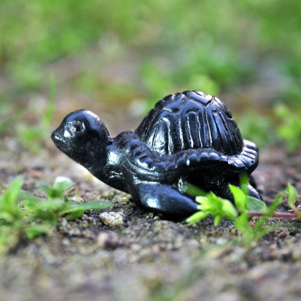  Μινιατούρα μαύρη χελώνα